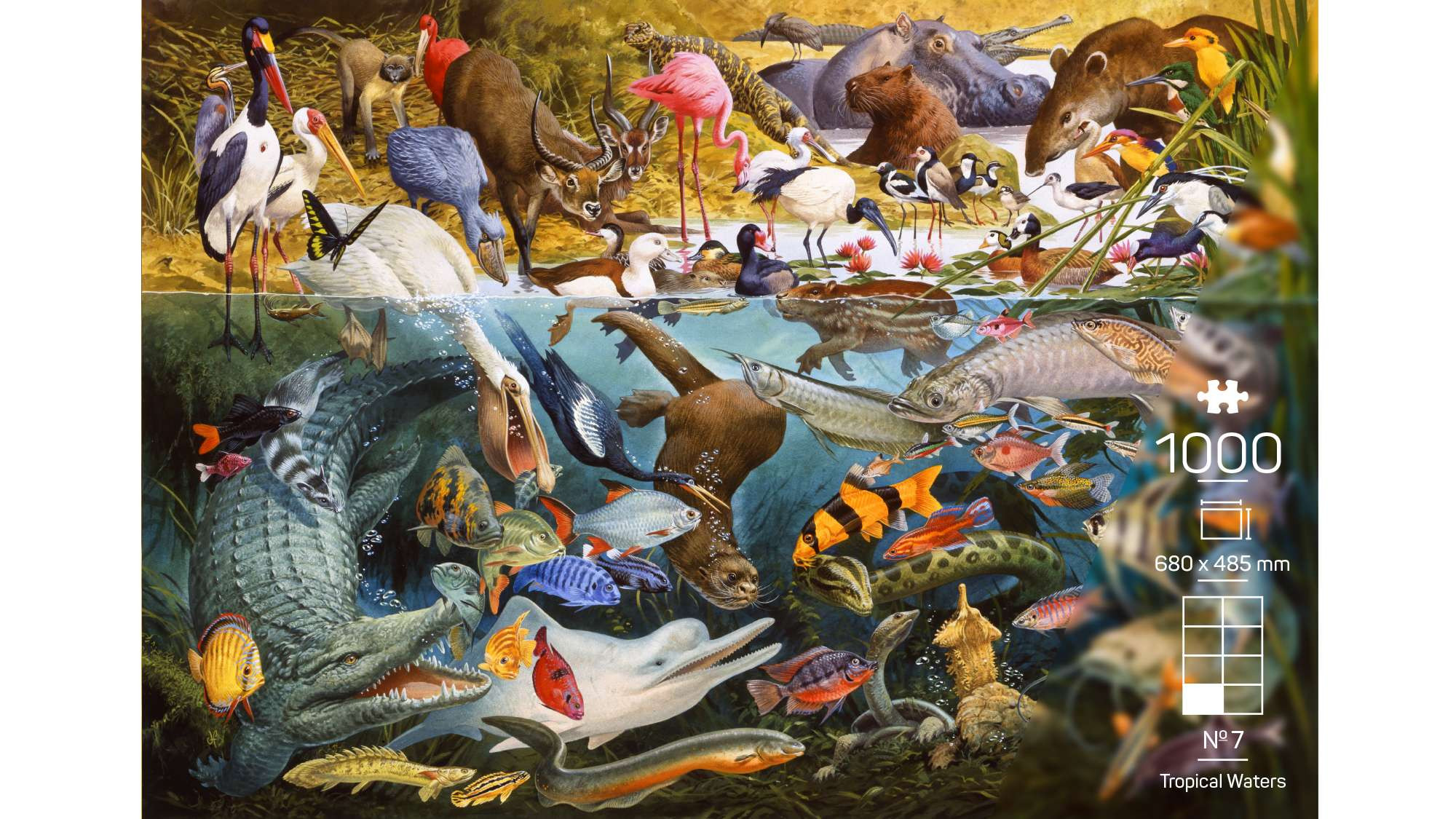 The Wildlife Collection – Nr. 7 Tropical Waters